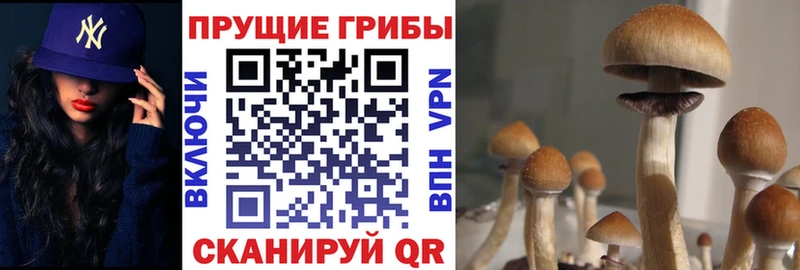 Галлюциногенные грибы GOLDEN TEACHER  Константиновск 